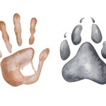Watercolor illustration. Hand painted brown handprint of man palm and grey paw print of wolf with claws. Footprint of dog. World Animal Day. Human and animal friendship. Isolated clip art for banners