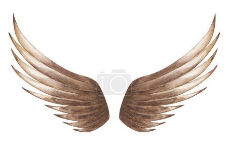 Photo for Watercolor illustration. Hand painted spread wings, brown feathers for flying birds: falcon, sparrow, eagle, hawk. Wings of angel, Cupid, cherub, pegasus. Isolated clip art for prints, banners - Royalty Free Image