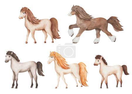 Watercolor set of illustrations. Hand painted horse herd. Mare, stallion, foal. Purebred clydesdale, palomino, pony, przewalski's. Cartoon animals. Family of horses in profile. Isolated clip art