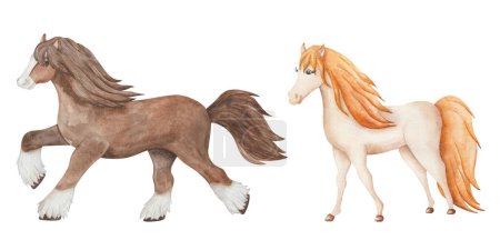 Photo for Watercolor set of illustrations. Hand painted horse herd. Mare, stallion. Purebred clydesdale horse, palomino. Cartoon animals. Family of horses in profile male and female. Isolated clip art - Royalty Free Image