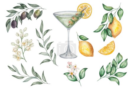 Watercolor set of illustrations. Hand painted dry martini cocktail in martini glass. Green olives, lemon fruits, flowers, branches, leaves. Citrus. Dirty martini. Alcohol drink. Isolated clip art