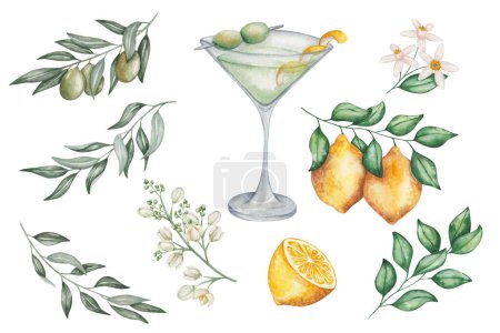 Watercolor set of illustrations. Hand painted dry martini cocktail in martini glass. Green olives, lemon fruits, flowers, branches, leaves. Citrus. Dirty martini. Alcohol drink. Isolated clip art