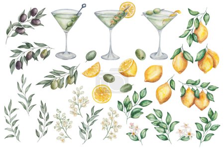Watercolor set of illustrations. Hand painted dry martini cocktails in martini glass. Green olives, lemon fruits, flowers, branches, leaves. Citrus. Dirty martini. Alcohol drink. Isolated clip art