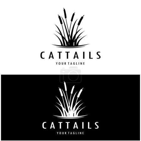 Illustration for Cattails or river reed grass plant logo design, aquatic plants, swamp, wild grass vector - Royalty Free Image