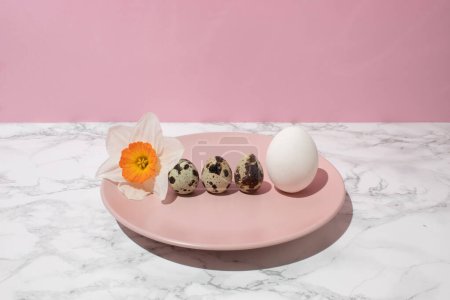 Chicken egg, quail eggs and narcissus on pink plate on kitchen marble background. Healthy raw food concept