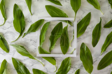 Creative layout of wild garlic leaves and copy space on marble background.