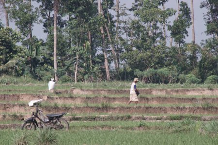 Foto de En la distancia un agricultor está esparciendo fertilizante en su campo - Imagen libre de derechos