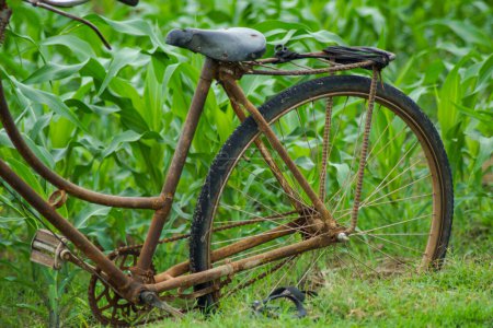 Téléchargez les photos : Une vieille bicyclette garée au bord d'un champ de maïs - en image libre de droit