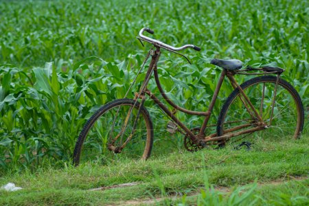 Foto de Una vieja bicicleta aparcada en el borde de un maizal - Imagen libre de derechos