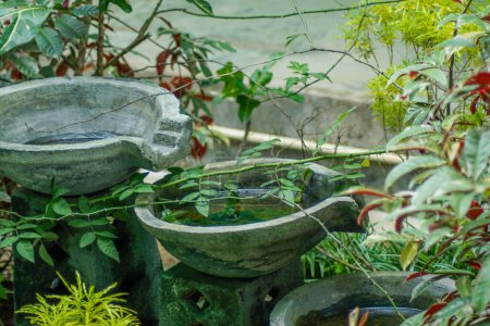 fontaine d'eau dans un petit jardin négligé dans la cour