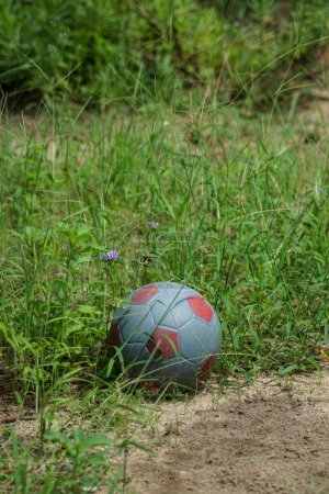 Photo for Soccer ball on the grass - Royalty Free Image