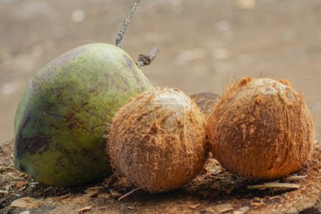 Close-up view of coconut with copy space