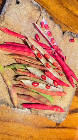 Téléchargez les photos : Haricots rouges dans un panier sur un fond en bois. gros plan de haricots rouges dans la gousse - en image libre de droit