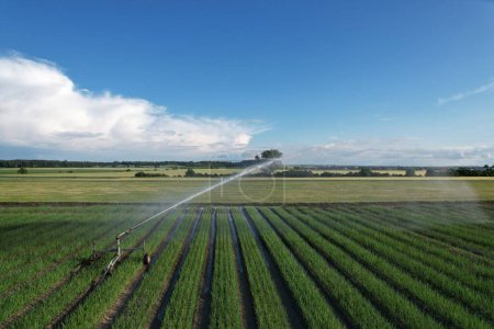 Foto de Podebrady, República Checa-24 de junio de 2023: sistema de riego por aspersión de agua, campo agrícola con sistemas de riego, vista panorámica aérea del paisaje - Imagen libre de derechos