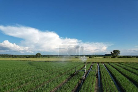 Foto de Podebrady, República Checa-24 de junio de 2023: sistema de riego por aspersión de agua, campo agrícola con sistemas de riego, vista panorámica aérea del paisaje - Imagen libre de derechos