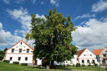 Téléchargez les photos : Holasovice, République tchèque - 21 juillet 2022 : Holasovice village historique typique de Bohême du Sud protégé par le patrimoine mondial de l'UNESCO, fermes en briques médiévales bien conservées dans le style folklorique - en image libre de droit