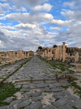Travelling Jordan.Cultural and natural side of Umm Qais and the ruins of the ancient Gadara.Ancient Roman city.in the extreme northwest of the country, near Jordan's borders with Israel and Syria