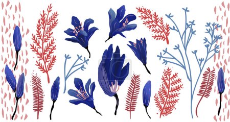 Illustration for Set of floral elements, blue and red flowers resource. Agapanthus flowers vectorized in blue, purple and red colors. - Royalty Free Image