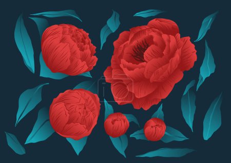 Illustration for Set of floral elements, red flowers resource. Vectorized roses in red and green colors. - Royalty Free Image