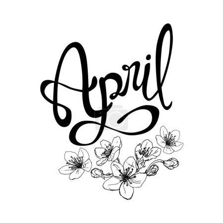 Handwritten and vectorized lettering sign "April". Graphic resource on white background, April month of the year with cherry blossoms