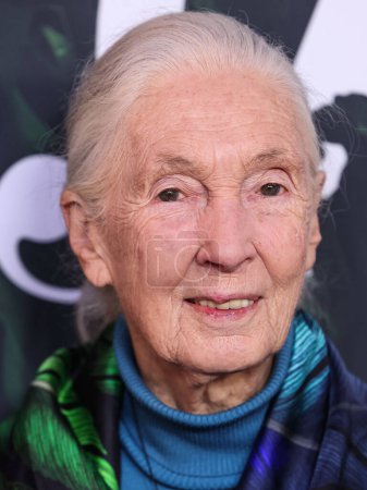 Photo for Dr. Jane Goodall arrives at the Los Angeles Premiere Of Apple TV+ Original Series 'Jane' Season 1 held at the California Science Center on April 14, 2023 in Los Angeles - Royalty Free Image