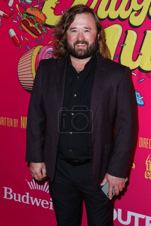 Photo for Haley Joel Osment arrives at the Los Angeles Premiere Of Shout! Studios, All Things Comedy and Utopia's 'Drugstore June' held at the TCL Chinese 6 Theaters on February 20, 2024 in Hollywood, Los Angeles, California, United States. - Royalty Free Image
