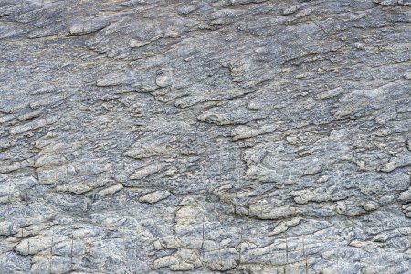 Photo for A captivating close-up view of a flat, textured rock surface, perfect for use as a detailed background. Intricate geological patterns, adding depth and texture to any design project. - Royalty Free Image