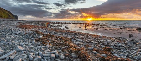 Ein Landschaftsbild, das einen Sonnenuntergang über einem mit Kieselsteinen bedeckten Strand in der Nähe von Aberystwyth einfängt, mit Algen, die entlang der Küste verstreut sind. Perfekt für Entspannung und Küstenaufwertung.