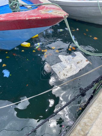 A deceased puffer fish floats among litter in the polluted harbor, highlighting environmental concerns. Marine pollution concept.