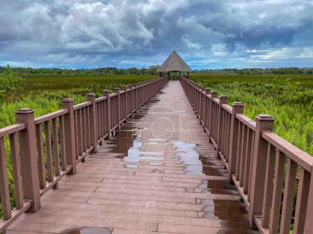 Wooden pathway leading through lush wetlands in Fuvahmulah Nature Park, Maldives, offering a serene escape into nature.