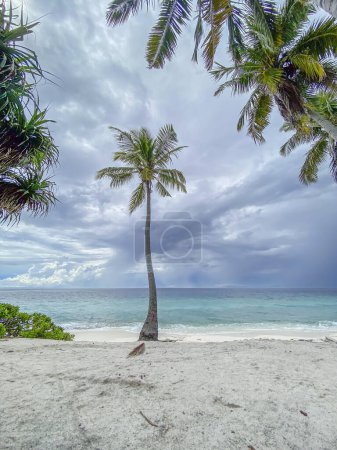 Photo for A lone palm tree stands tall on the sandy shores of Fuvahmulah Island, offering a serene view of the endless sea. Ideal tropical getaway. - Royalty Free Image