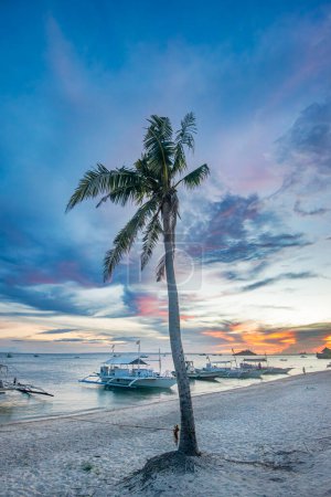 Téléchargez les photos : Soirée tranquille sur les rives de Malapascua, aux Philippines, alors que les bateaux de plongée se reposent sur la côte bordée de palmiers sous un coucher de soleil éclatant - en image libre de droit