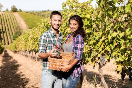 Téléchargez les photos : Couple de jeunes vignerons cueillant des grappes de raisins dans le vignoble en automne - en image libre de droit