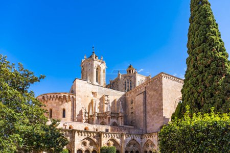 Foto de Vista de las murallas desde el patio interior de la catedral santa maria de tarrastre España - Imagen libre de derechos