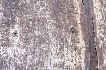 Téléchargez les photos : Gros plan d'une texture de panneau de bois - Vieux fond de planches de bois avec des fissures et des clous - en image libre de droit