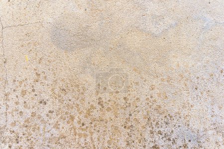Photo for Concrete wall texture detail - Natural stucco surface pattern background painted in neutral color - Royalty Free Image