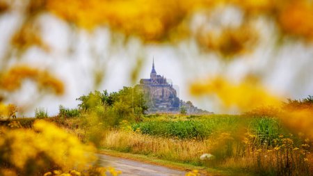 Foto de Vista panorámica de la famosa abadía de Le Mont Saint-Michel Normandía Francia enmarcada por flores amarillas durante la marea baja - Imagen libre de derechos