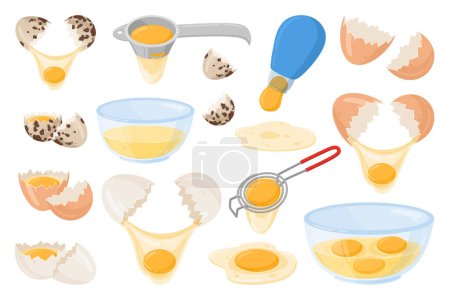 Illustration for Cartoon raw eggs, fresh egg yolk. White liquid egg and raw yellow yolk in bowl, yolk separator flat vector illustration set. Chicken raw eggs - Royalty Free Image