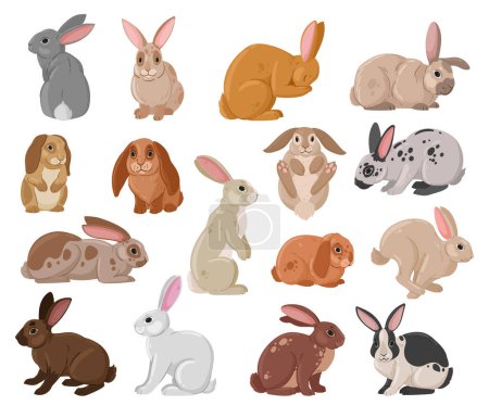 Illustration for Cartoon cute rabbits. Wildlife funny bunny, spring eared hare animals, white and brown fur domestic bunnies flat vector illustration set. Spring holiday rabbits collection - Royalty Free Image