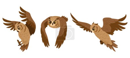 Illustration for Cartoon owl birds. Flying birds, woods wildlife brown feathered owls, forest wild predator birds flat vector illustration on white background - Royalty Free Image