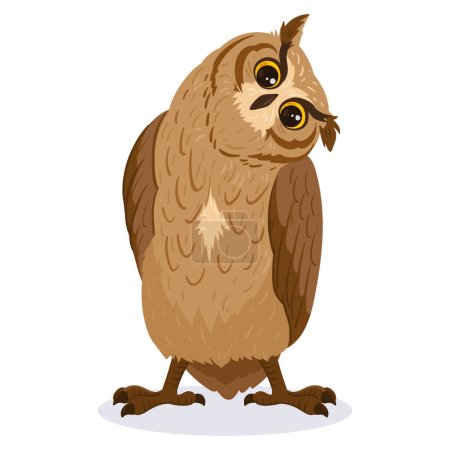 Illustration for Cartoon owl bird. Cute brown bird, woods wildlife feathered owl, forest wild predator bird flat vector illustration on white background - Royalty Free Image