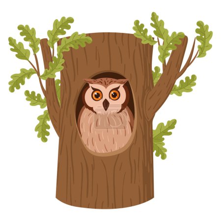 Cartoon owl sitting in tree hollow. Forest owl bird sit in woods house, wildlife bird oak nests flat vector illustration set on white background