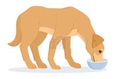 Illustration for Cartoon eating labrador retriever. Cute labrador companion dog eating dog food, purebred domestic pet flat vector illustration - Royalty Free Image