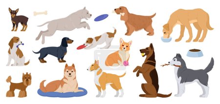 Cartoon reinrassige Hunde. Glückliche aktive Welpen, die schlafen, spielen und häusliche Hunde, Corgis und Huskys essen. Hunde Tierfiguren