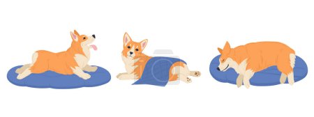 Illustration for Cartoon corgi dog. Cute resting and sleeping corgi pet, happy domestic pedigree puppy flat vector illustration set - Royalty Free Image