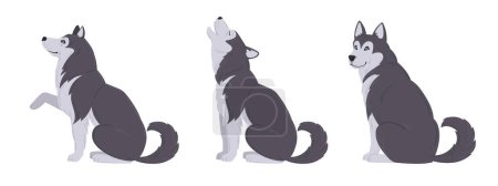 Illustration for Cartoon husky. Domestic husky puppy, cute playing, sitting and howling huskies flat vector illustration set - Royalty Free Image