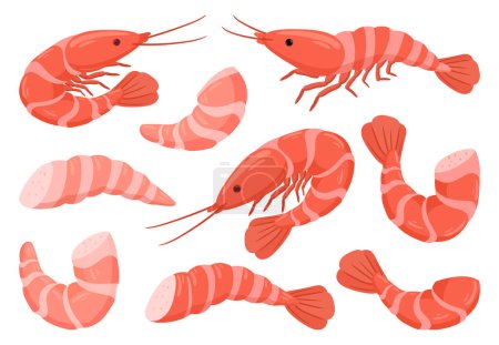 Téléchargez les illustrations : Cartoon shrimps. Raw or boiled seafood, tiger shrimps meat, king prawns without shell flat vector illustration set. Ocean shrimps collection - en licence libre de droit