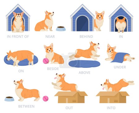 Illustration for Cartoon english prepositions with puppy. Cute dogs sitting, standing, laying on, behind, beside or above different toys and objects flat vector illustration set. Dog various poses - Royalty Free Image