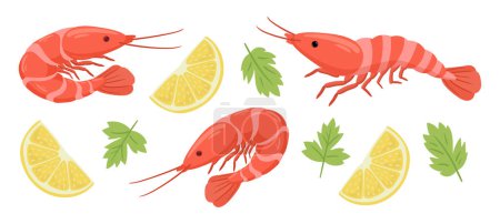 Téléchargez les illustrations : Caricature crevettes fruits de mer. Crevettes tigrées bouillies avec tranches de citron et persil, crevettes royales avec coquille plat vecteur illustration ensemble - en licence libre de droit