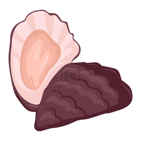 Illustration for Cartoon oyster shell. Aquatic clam animal, ocean fauna oyster, healthy sea food flat vector illustration - Royalty Free Image